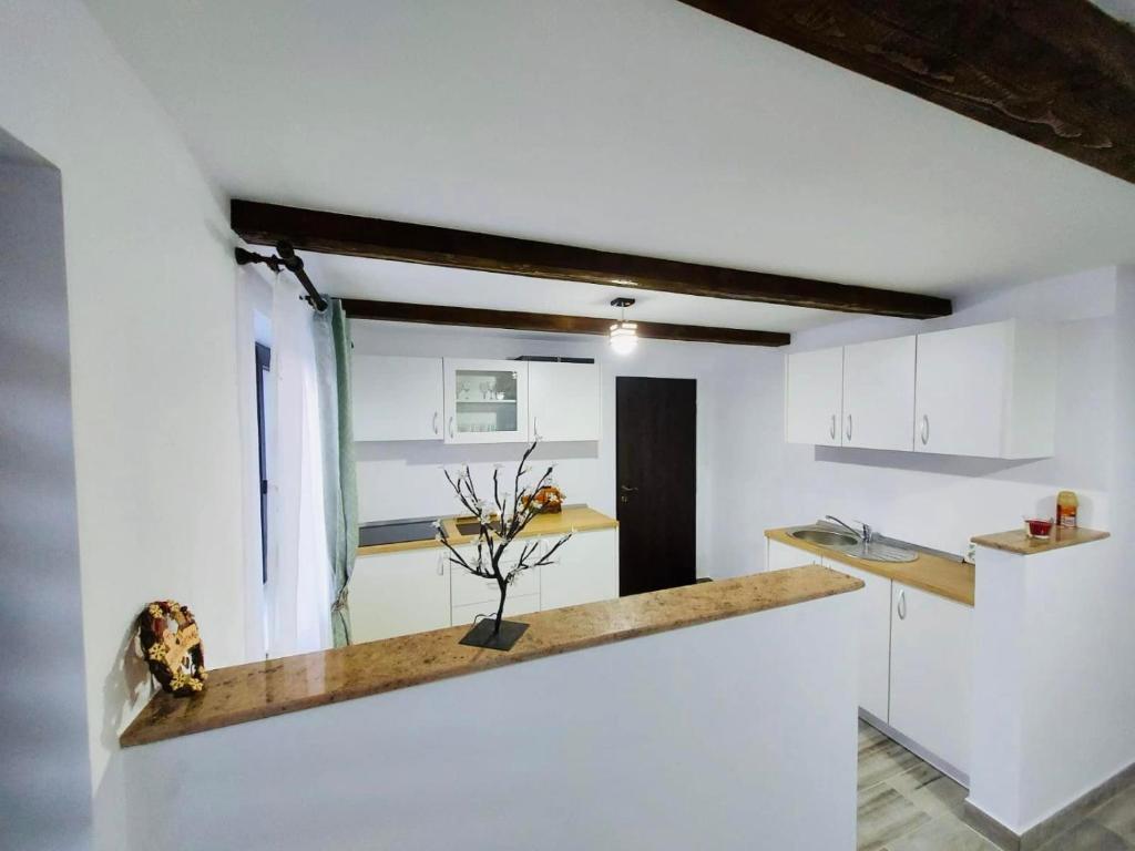 Apartament 1 imagine 6