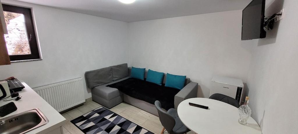 Apartament 2 imagine 4